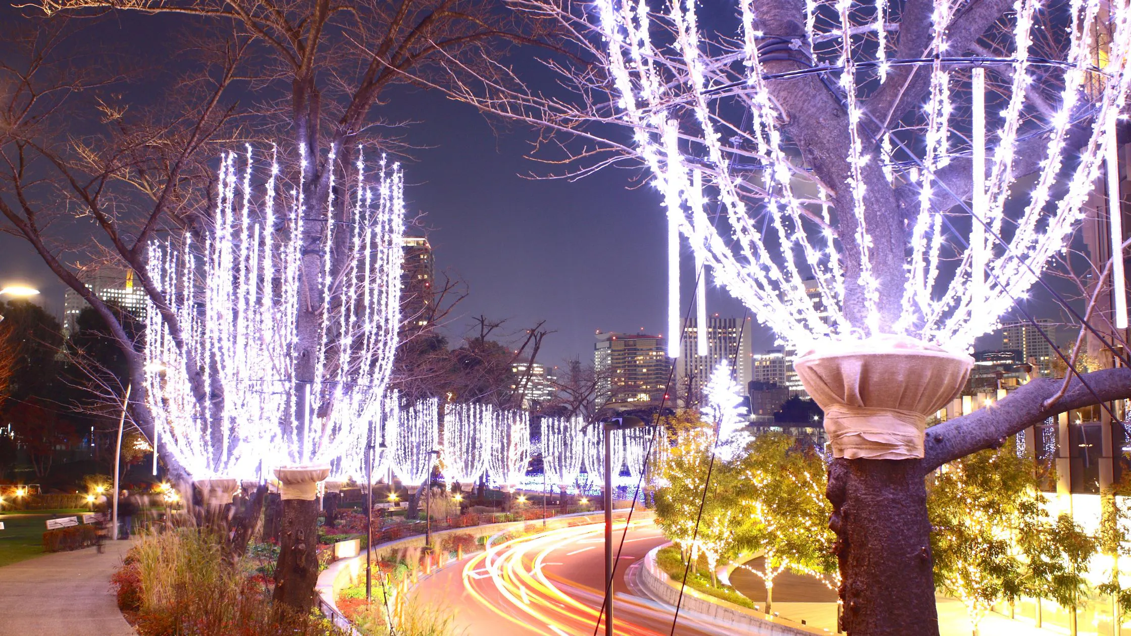 Experience Nightlife in Roppongi